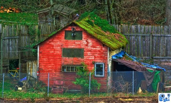 Roof Top Garden